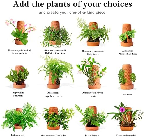 Vertplanter Terracotta Plant Pots Flower Pots 5.7 Inch Self Watering No Soil Planter for Indoor Outdoor Hydroponic Planter Orchid Pots with Tray to Reuse and Store Water, Great for Orchids, Ferns