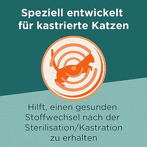 PURINA ONE Dual Nature Katzenfutter trocken für kastrierte Katzen mit Cranberry, reich an Lachs, 6er Pack (6 x 650g)