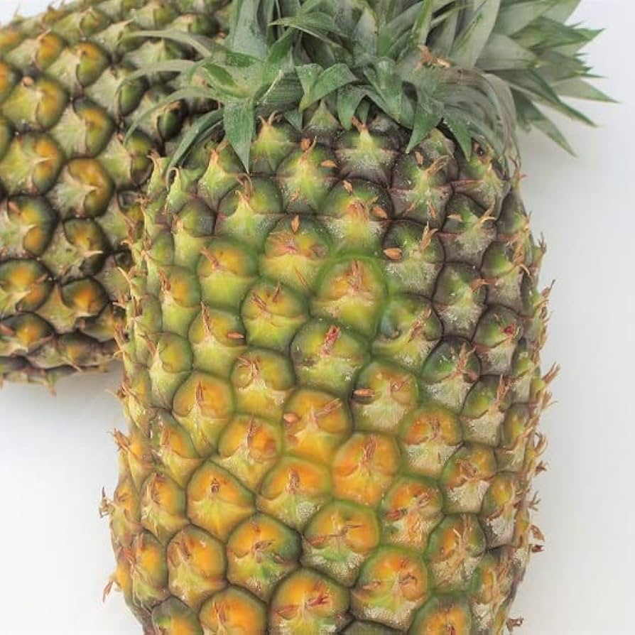 石垣島産「ゴールドバレル」8玉入り(小玉) 訳ありゴールドパイン小玉（約0.5〜0.8kg）石垣島産 特価