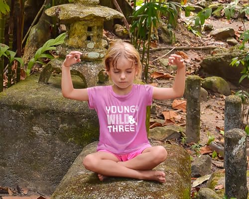 Image of Young Wild and Three Girl 3rd Birthday Outfit Toddler Shirts 3 Year Old Girls Third Party Tshirt