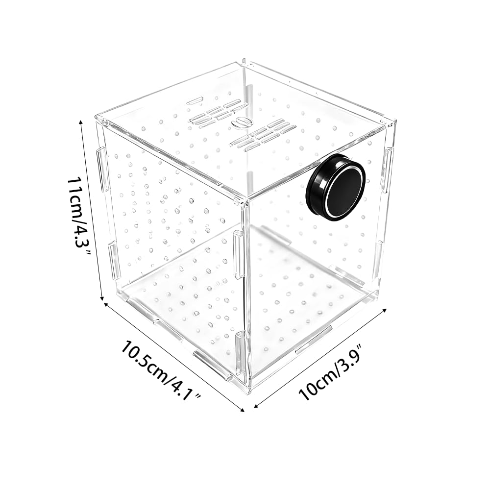Caja de cría para Acuario, Caja de Aislamiento acrílico magnético con Orificio de alimentación, para incubar y criar Peces