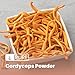 Pure Original Ingredients Cordyceps (8oz) Traditional Herbal Supplement, Non-GMO