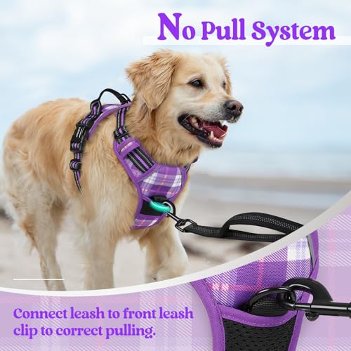 Image of rabbitgoo Dog Harness No Pull with 2 Leash Clips, Adjustable Soft Padded, Reflective Oxford No Choke Pet Vest with Easy Control Handle for Large Dogs, Purple Plaid, XL