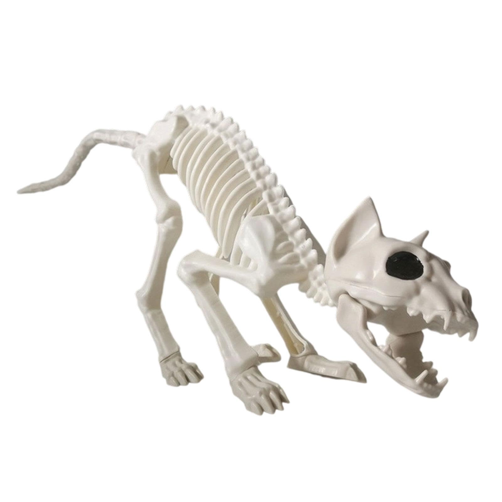 Crâne d'animal et os de chat pour décorer un patio ou un jardin d'Halloween