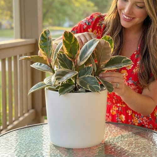 Willowy 9 Inch Matte White Ceramic Planter