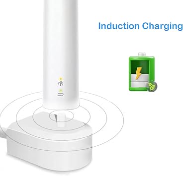 Electric Toothbrush Charger Replacement for Philips HX6100 Charging Base Philips Sonicare Toothbrush HX3000 HX6000 HX8000 HX9000 Series IP67 Waterproof Power Cord