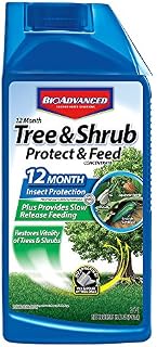 BioAdvanced 701901 12 Month Tree and Shrub Protect and Feed Concentrate, 32-Ounce