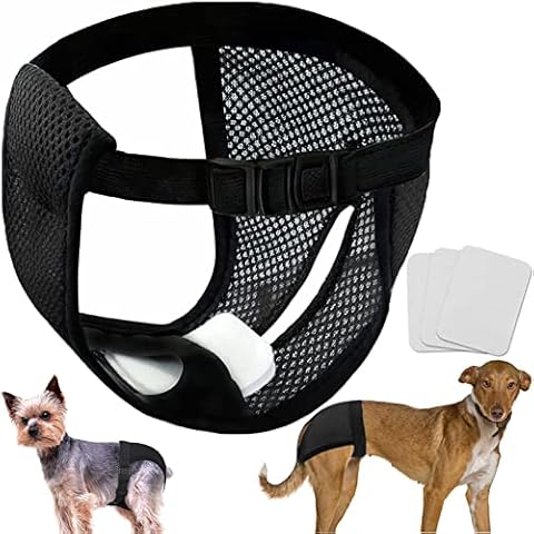 LeerKing 2Pcs Mesh Dog Period Pants Reusable Diapers Female Knickers for Season Pants Doggy Sanitary Hygiene Pants Puppy on Heat Nappies,Black M Cover