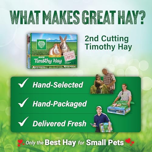 Small Pet Select 2nd Cutting Perfect Blend Timothy Hay Pet Food for Rabbits, Guinea Pigs, Chinchillas and Other Small Animals, Premium Natural Hay Grown in The US, 25 LB - Thumbnail 6