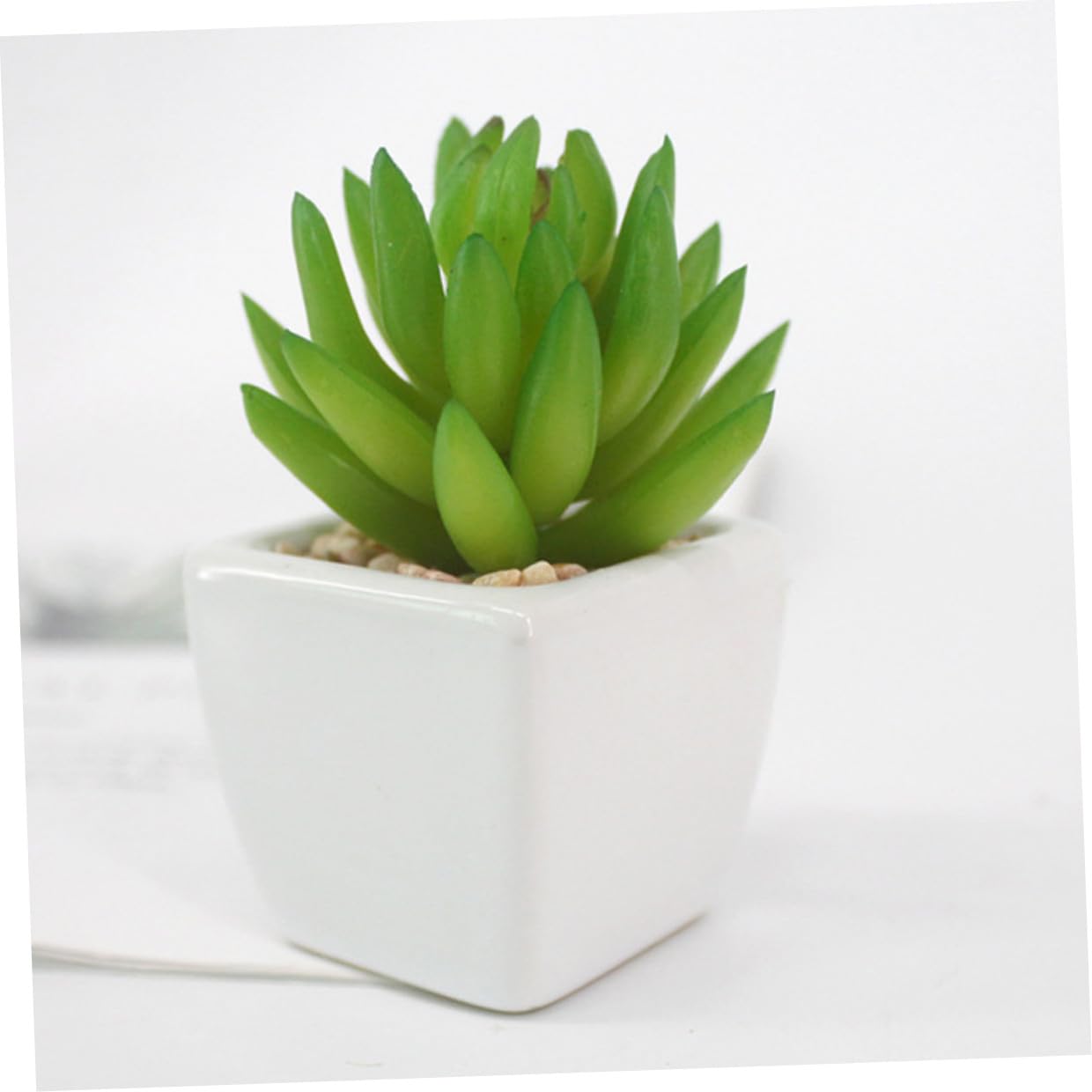 Mipcase 6 Pièces Succulente Artificielle en Céramique Blanche Mini Bonsaï