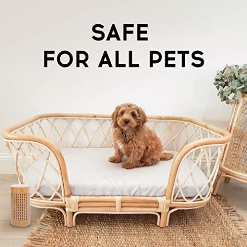 APRAII Activated Charcoal Bags - Odor Eliminator for Home - Air Purifying Bags - Bamboo Charcoal - Moisture Absorber - Closest Freshener - Image 9