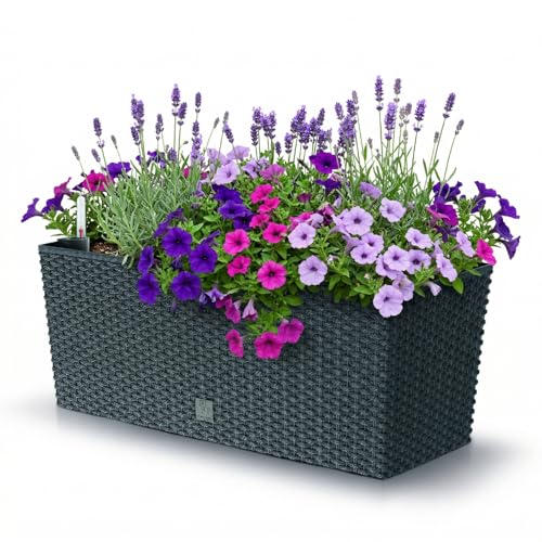 Prosperplast Blumenkasten Planteur Rato Case inkl. Bewässerung, Anthrazit, aus Kunsstoff, in Rattan-Optik, Ideal für den Innen & Außenbereich, 17L, 51,4 x 19,2 x 18,6 cm