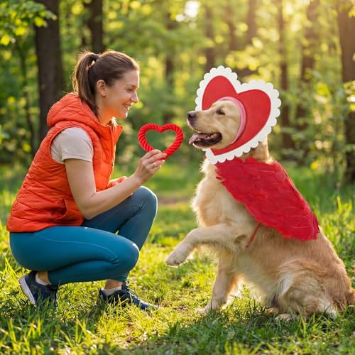 Disfraz para perro Día de San Valentín con alas y accesorios 13.8 in miniatura 6