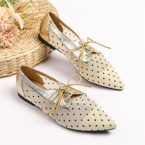 Women's Mesh Polka Dots Dress Shoes Slip On Lace Up Breathable Pointed Toe Casual Flats Fashion Comfortable Lightweight Low Top Non-Slip Soft Soled Flat Ballet Shoes for Office Party3