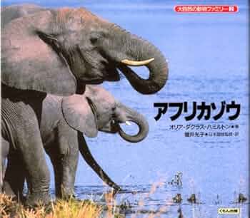 アフリカゾウの鼻のプラスティネーション標本 No.2 即納☆ アフリカゾウの鼻のプラスティネーション標本