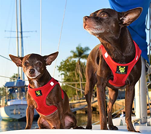 Ecobark Step In Dog Harness - Eco-Friendly Teacup Dog Harnesses For Xs And Small Dogs - Reflective And Adjustable Mini Body Halter Vest -Tiny Soft Mesh Toy Breed Harness (Red, Xs) #TOP3