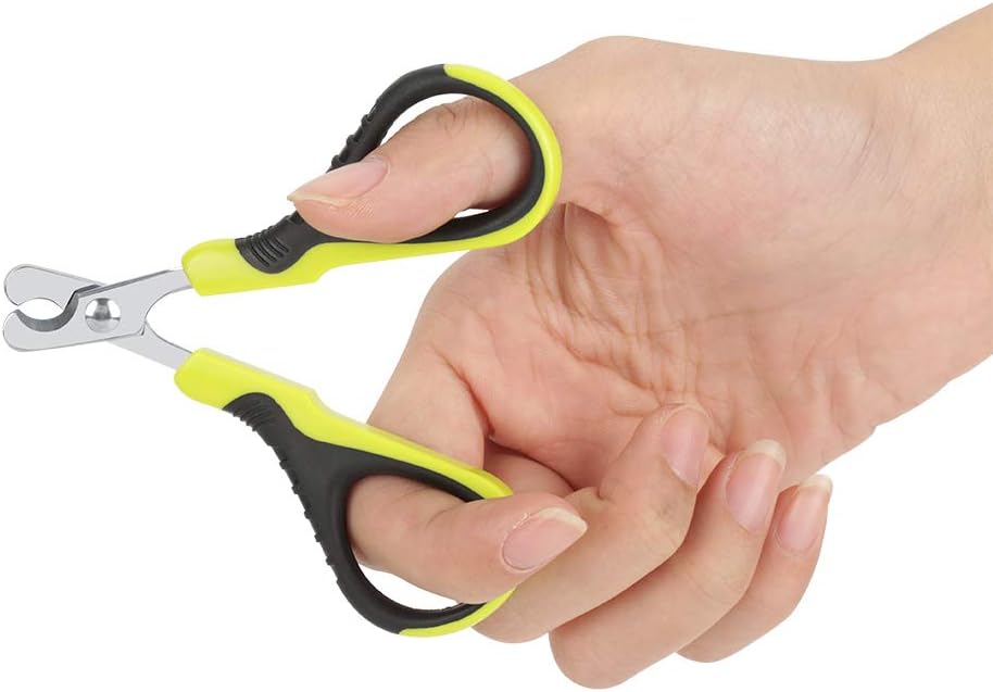 GLOGLOW Dog Nail Clippers, Pet Toe Claw Shear Pet Nail Scissors Pet Grooming Nail Care Tool for Dogs Cats Rabbit Bird : Pet Supplies