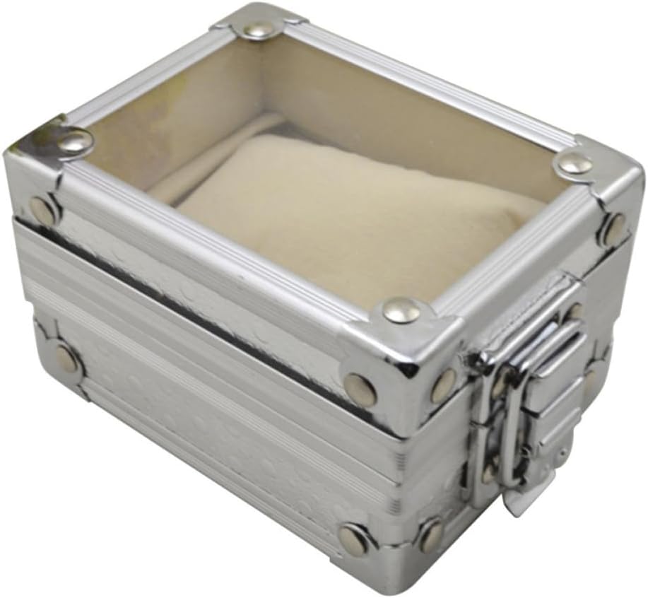 BESTonZON Lid Watch Box with Removable Pillow, Metal Silver