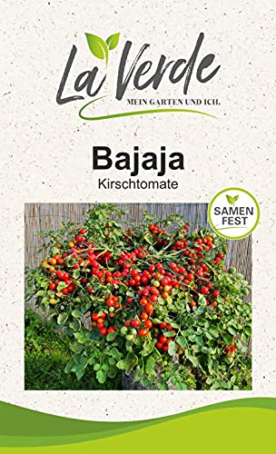 Bajaja Tomatensamen