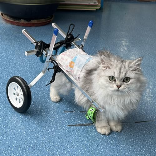 Carrello Cani Disabili Sedia a Rotelle per Cani/ gatti...