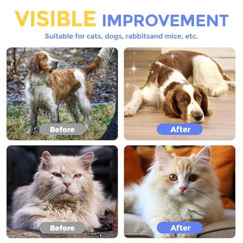 Image of Pet Cleaning Glove Wipes for Dogs & Cats, Hypoallergenic Deodorizing Disposable No-Rinse Grooming Wipes, Wipes, Perfect for Pet Dry Cleaning, Daily Care and Travel, Coconut Scent, 8 pcs