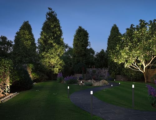 Paulmann Plug & Shine Power Supply 98850, 150 W, Argento - 9