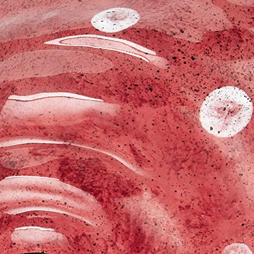 Blue Sky Ceramic 12.5"X12.5"X10" Red 12.5" X 12.5" X 10" Octopus Cookie Jar #TOP3