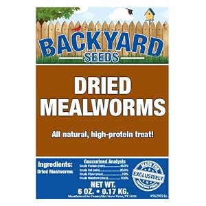 Dried Mealworms for Birds Chickens 6 Ounces