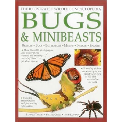 The Illustrated Wildlife Encyclopedia: Bugs & Minibeasts