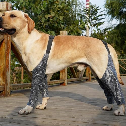 Mangas de recuperación para perros antisuciedad y leggings para heridas 4