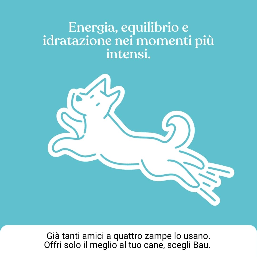 BAU Rehidratante Electrolítico para Perros Deportistas – Ideal con Calor – Gel Energético con Magnesio, Sodio y Potasio – Apoyo Durante la Actividad – Sticks Monodosis