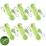 Surflyee 6 Stück 4MM Verstellbarer Seil Ratsche, 4M Seilratsche Einstellbar Abspannseile, Flaschenzug mit Seilbremse, Abspannseile mit Seilspanner für Zelten, sonnensegel(Grün)