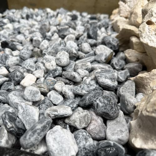 TAIKOH }[uO[^u 8 20-30mm ύ O[ DF  zCg ʐ  (}[uO[^u 8(20-30mm), 1kg)