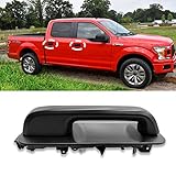 Moonlinks Compatible with Ford F150 Door Handle Exterior,2015-2020 F150 Front/Rear Passenger Right S