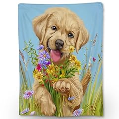Golden Retriever38