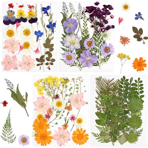 87 Stück Gepresste Blumen, Natürliche Getrocknete Blumen, Gemischte Farben Trockenblumen Gepresst zum Basteln für DIY Kerzen Harz Anhänger Scrapbook Fotorahmen Dekoration