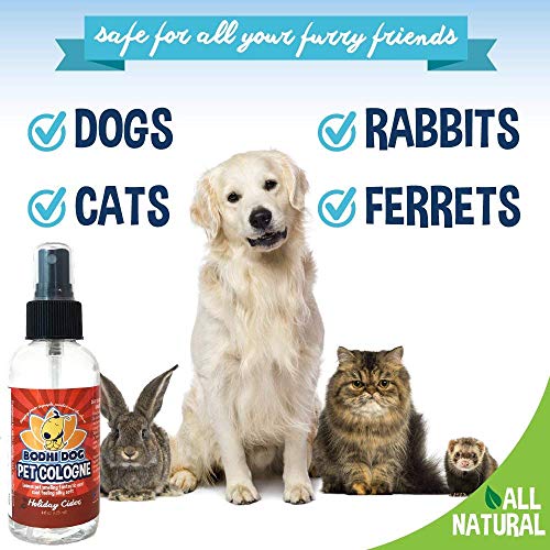 Bodhi Dog Natural Pet Cologne | Premium Scented Perfume Body Spray For Dogs And Cats | Clean And Fresh Scent | Natural Conditioning Qualities | Made In Usa (Holiday Cider, 4 Fl Oz) #TOP3
