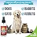 Bodhi Dog Natural Dog Cologne (Holiday Cider) - Premium Scented Deodorizing Pet Perfume with Conditioner for Dogs & Cats - Keeps Pets Fresh & Clean - Gentle and Safe Formula, Made in USA (4 Fl Oz)