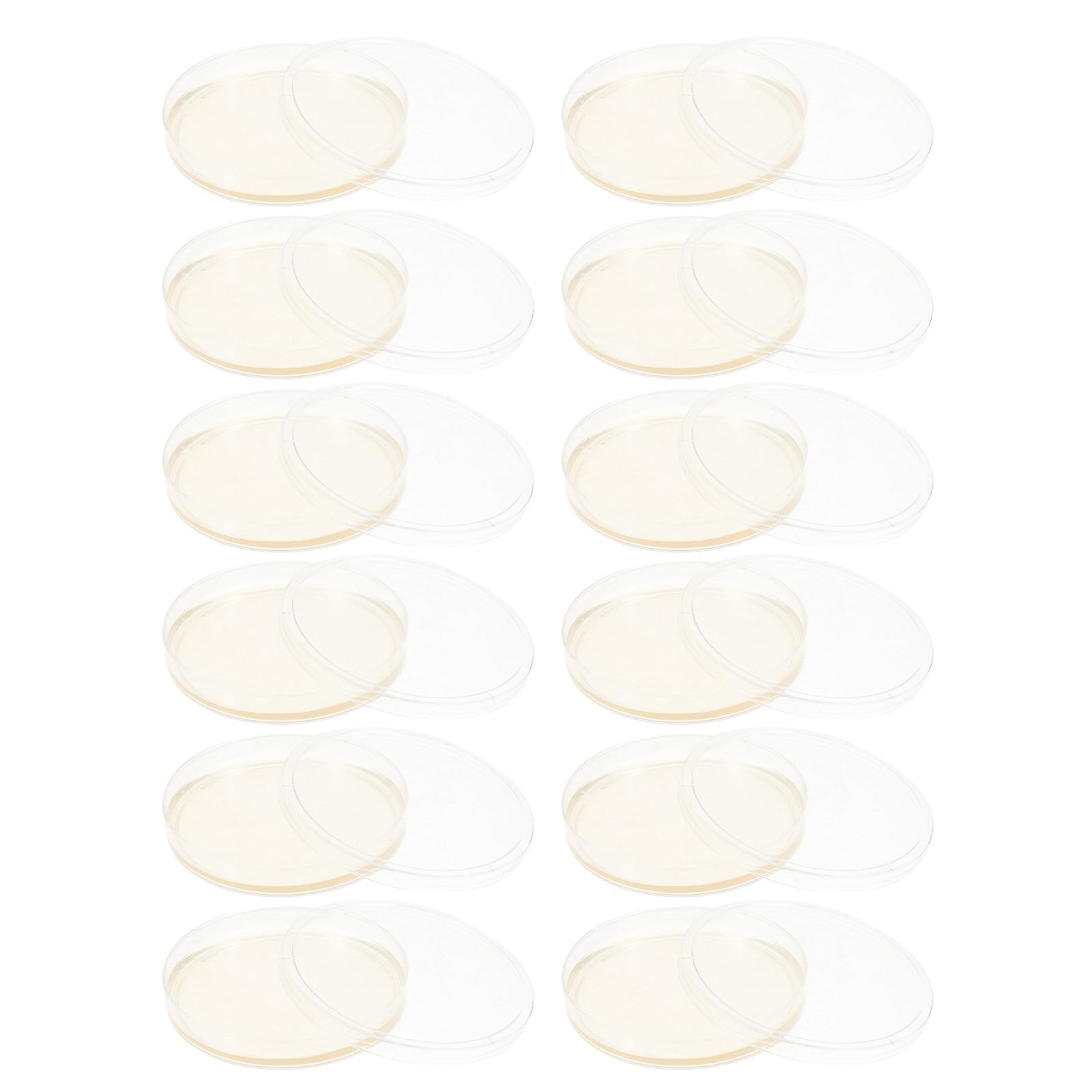 STOBAZA 20 Placas de Petri de Agar Nutritivo Redondas para Microbiología Tapa Ajustada, Listas para Usar en Experimentos de Laboratorio y Proyectos Educativos