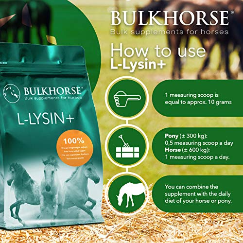 BulkHorse L-Lysine+ | PREMIUM KWALITEIT: voor het immuunsysteem en bij vermoeid van uw paard | 3000 g - Afbeelding 6