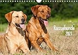 rassehundeausstellung 2019 14 Seiten bestehend aus 1 Coverbild | 12 Monatsbilder | 1 Indexseite. Inklusive Papprücken hinten und vorderseitig einer Klarsichtfolie.