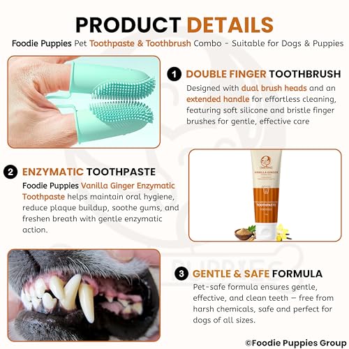 Image of Foodie Puppies Dental Care Combo for Dogs and Cats - (Couple Toothbrush and Vanilla Ginger Toothpaste, 100gm) Fresh Breath Formula I Soft Bristles for Easy Dental Care Toothbrush for Small Pets