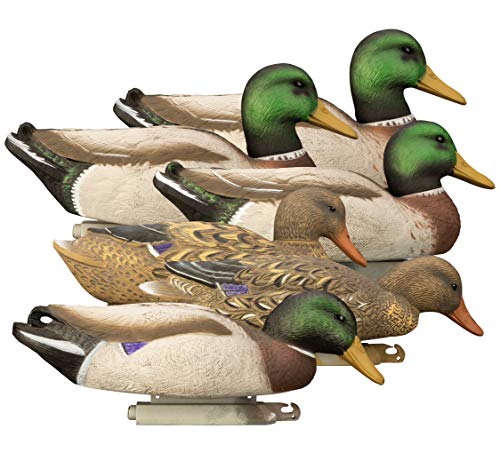 Higdon Outdoors Magnum Mallard Duck Floater Decoys | Removable Swivel Heads | Weighted Keel with Multiple Postures & UV Paint | Realistic Feather Details for Waterfowl Hunting | Foam-Filled | 6pk