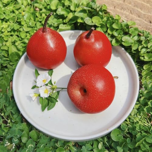 semillas resistentes del peral - balcones variedades antiguas elevado 10pcs