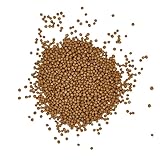 graines entières de moutarde jaune