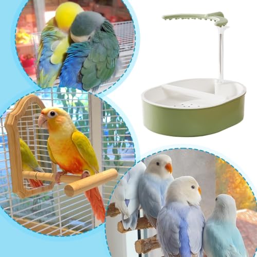 Baño de loro con agua corriente para cacatúa y loro gris doméstico 5
