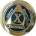 RecoveryChip 10 Year AA Medallion Elegant Black Gold Silver Bi-Plated Alcoholics Anonymous Chip