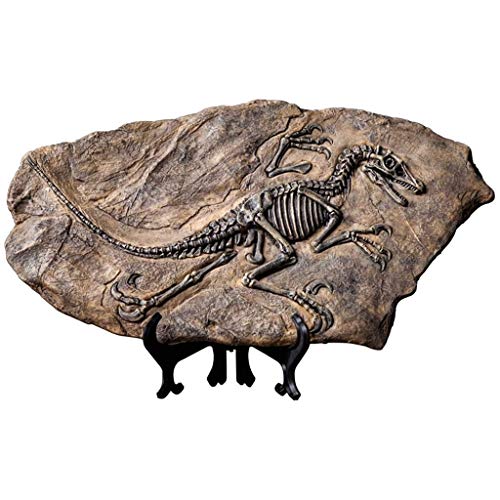 DZX Hauptdekoration Dinosaurier Fossil Statue, Harz Dinosaurier Fossil Modell Büro Wohnzimmer Weinschrank Dekoration…