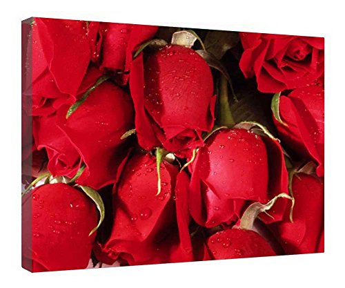 Toile roses rouges encadrée en bois avec texture premium d'art mural 40x50