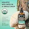 Lions Mane Liquid - USDA Certified Organic Lions Mane Supplement - Brain Support, Energy, Memory & Focus - Sugar & Alcohol-Free Lion's Mane Mushroom Extract 72,000 mg / Bottle, 2 Fl OZ, 2 Month Supply